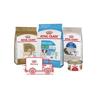 Royal Canin SHN Starter Mousse 145g Dog - Woofy's by Paw Street Market