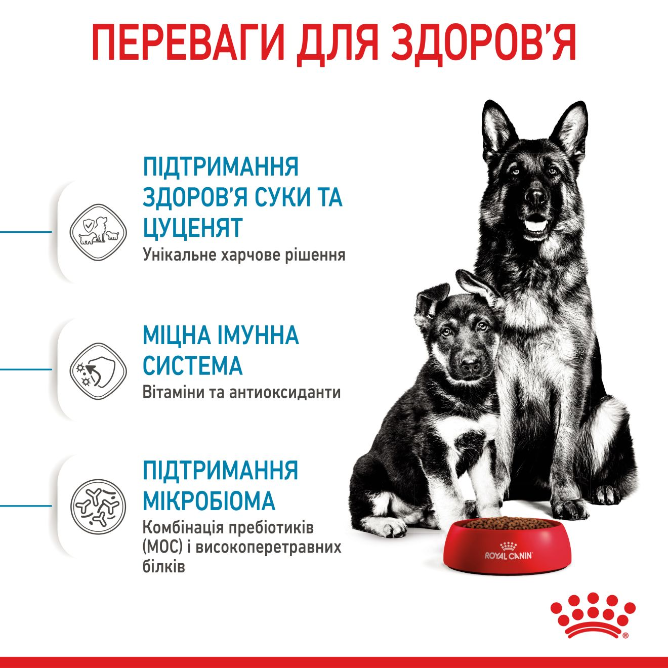 Starter Mother & Babydog - Maxi