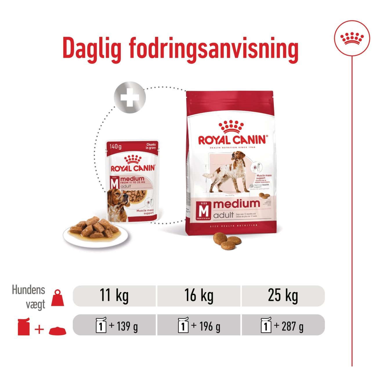 Medium Adult stykker i sovs