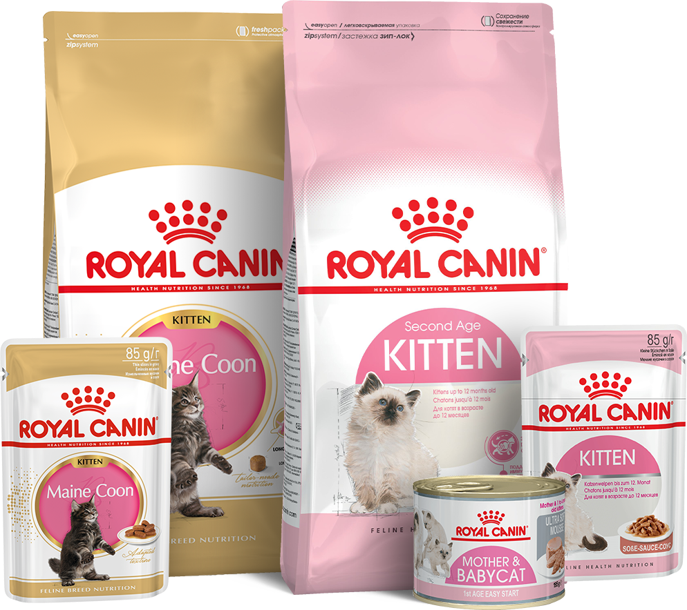 Packshot produits pour chatons en couleur sur fond blanc