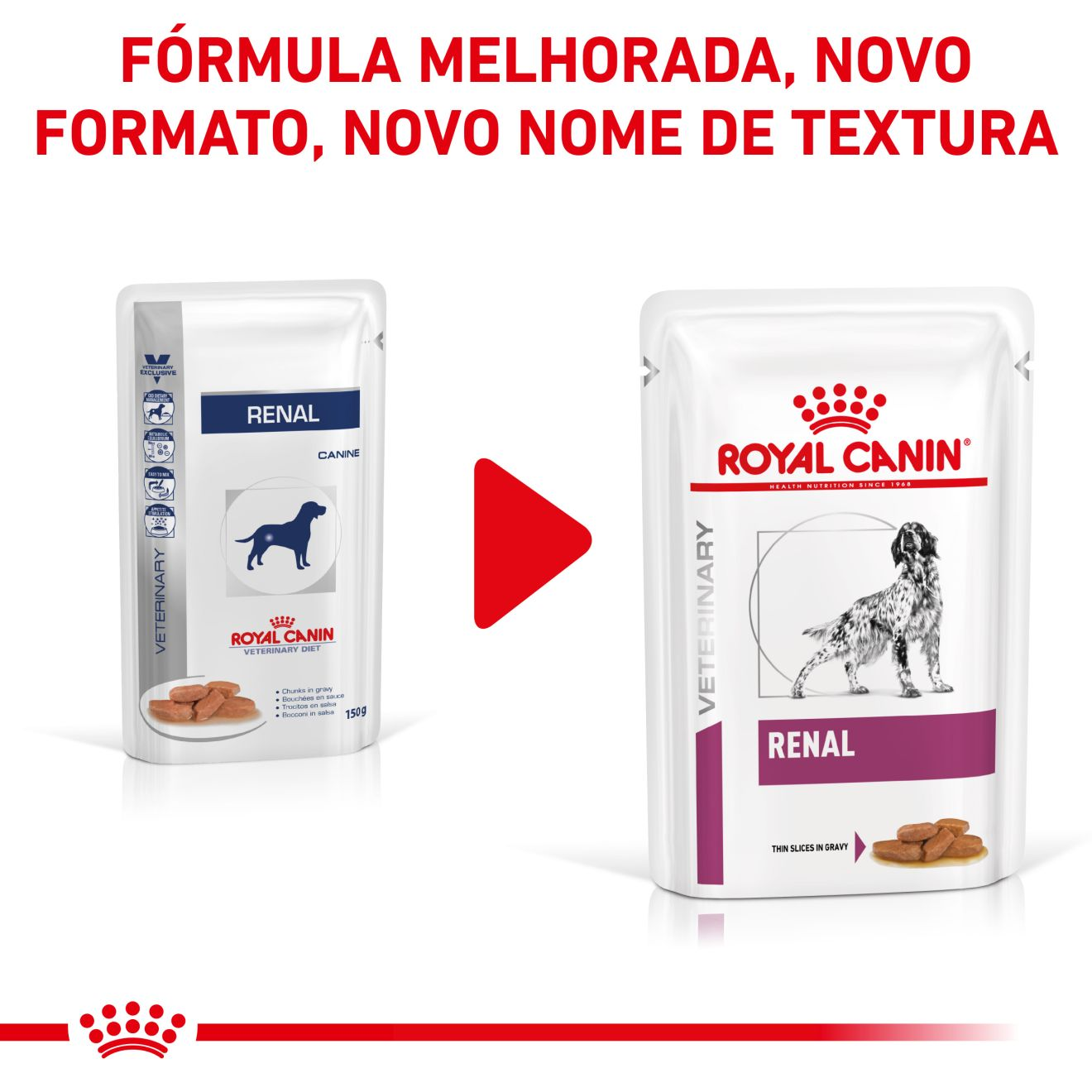 Renal fatias finas com molho