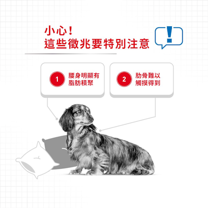 Royal-Canin_小型犬體重控制加護配方_正方形_HK_02