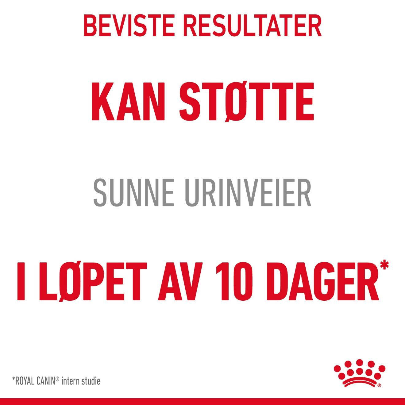 Urinary Care Gravy Adult 