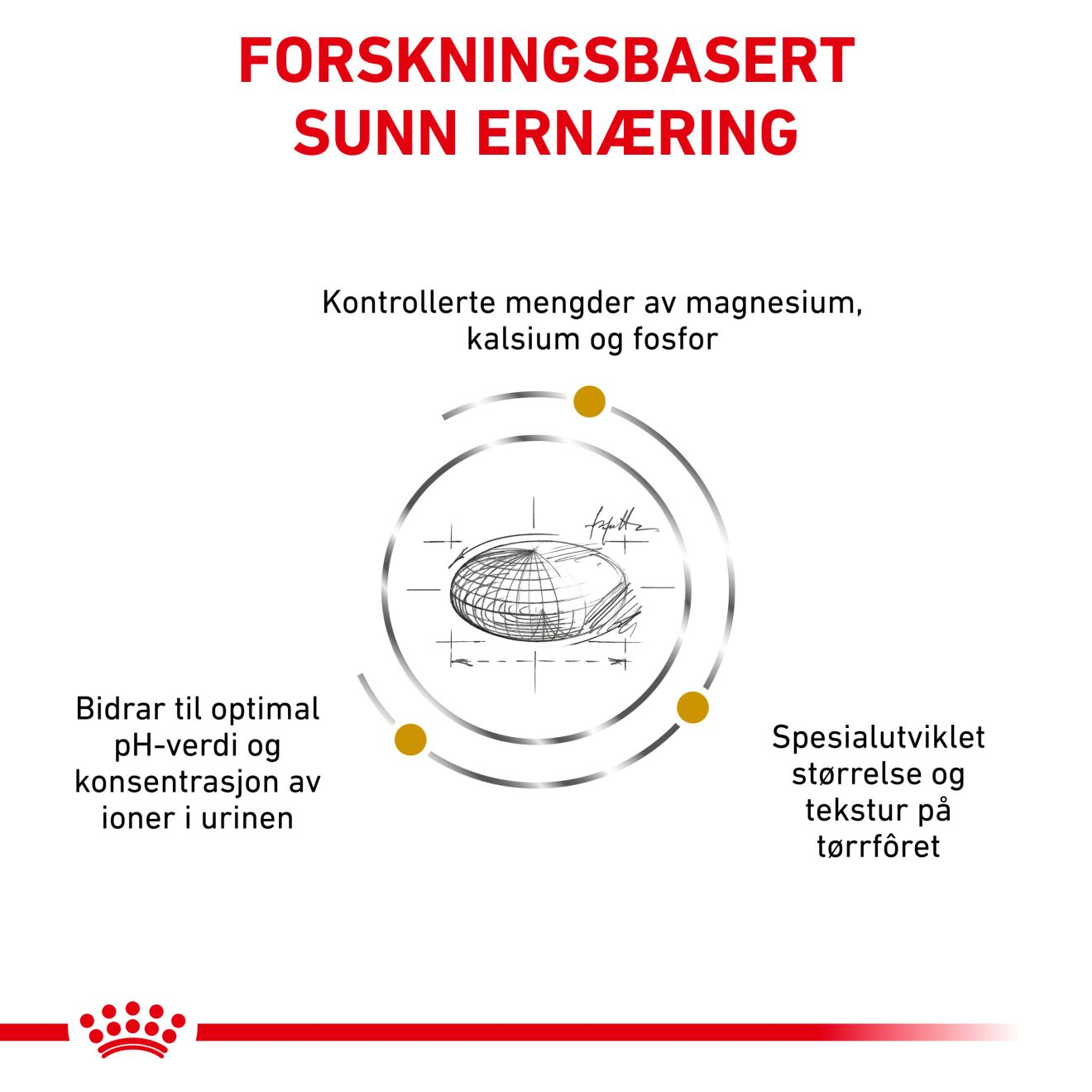 Urinary S/O Small Dog