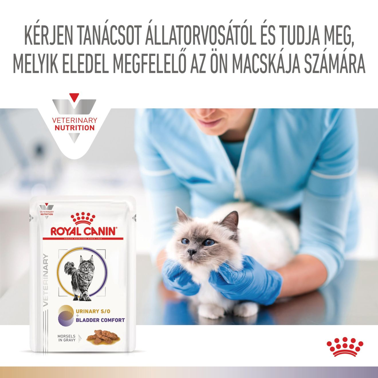 Multifunction Urinary S/O + Bladder Comfort
