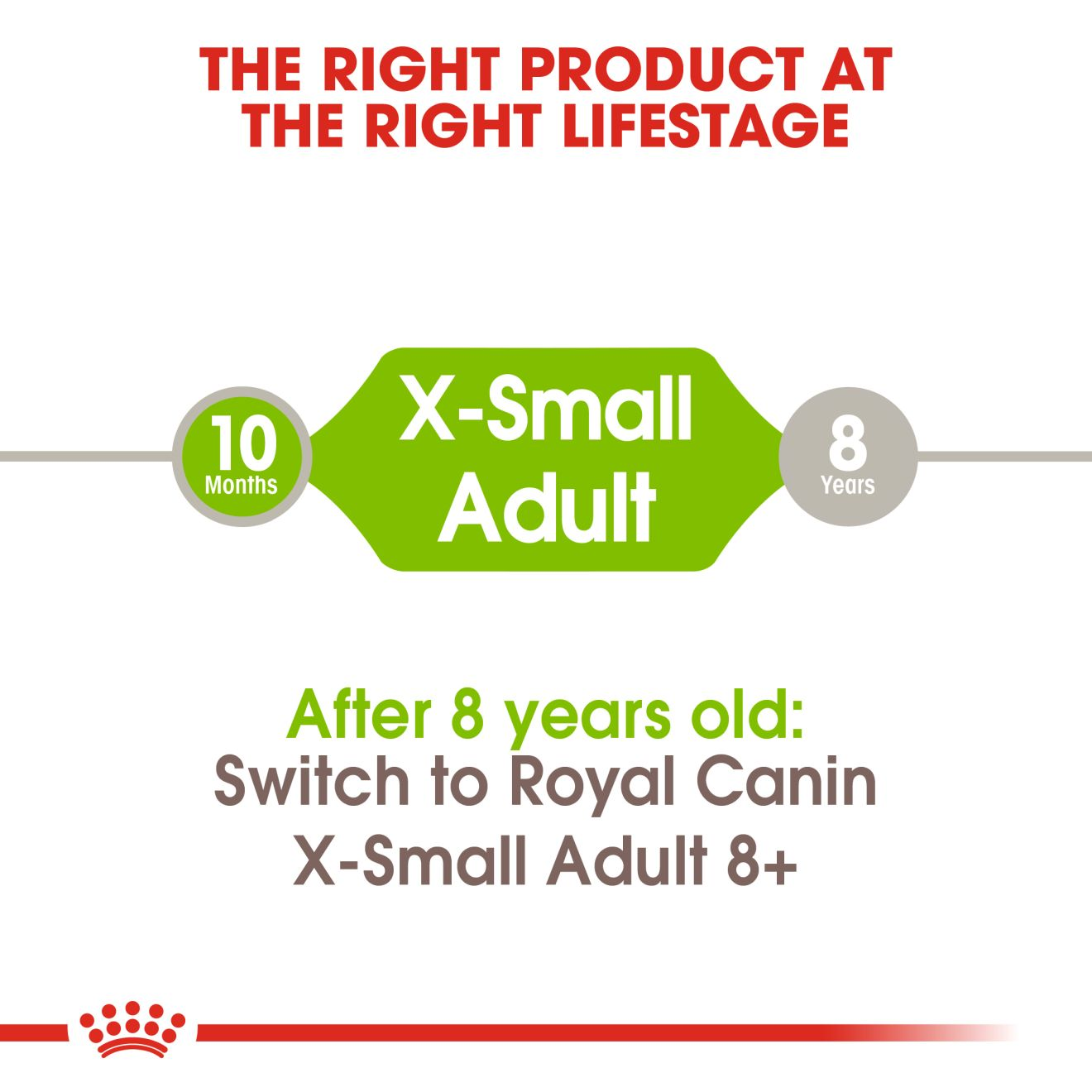 royal canin xsmall adult
