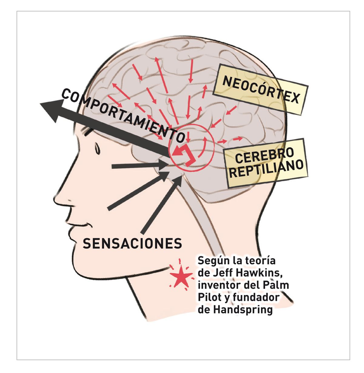 ¿Por qué invertir en comunicación? (parte 4) Royal Canin