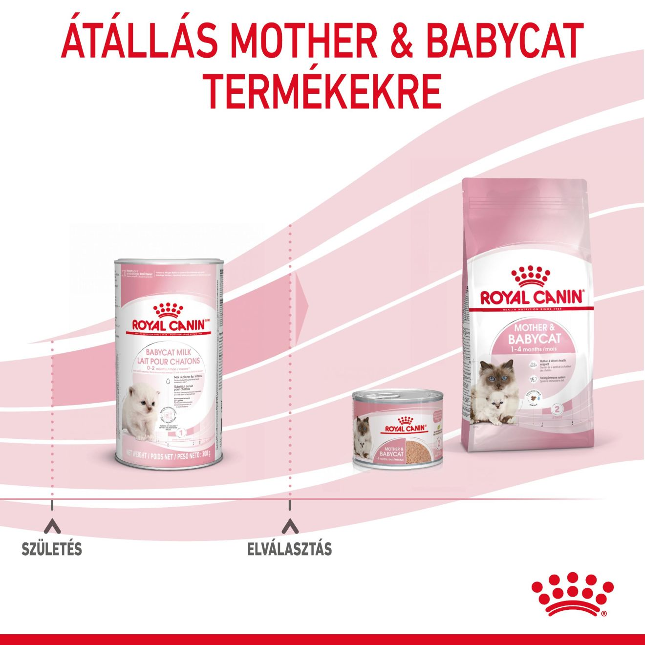 Babycat Milk