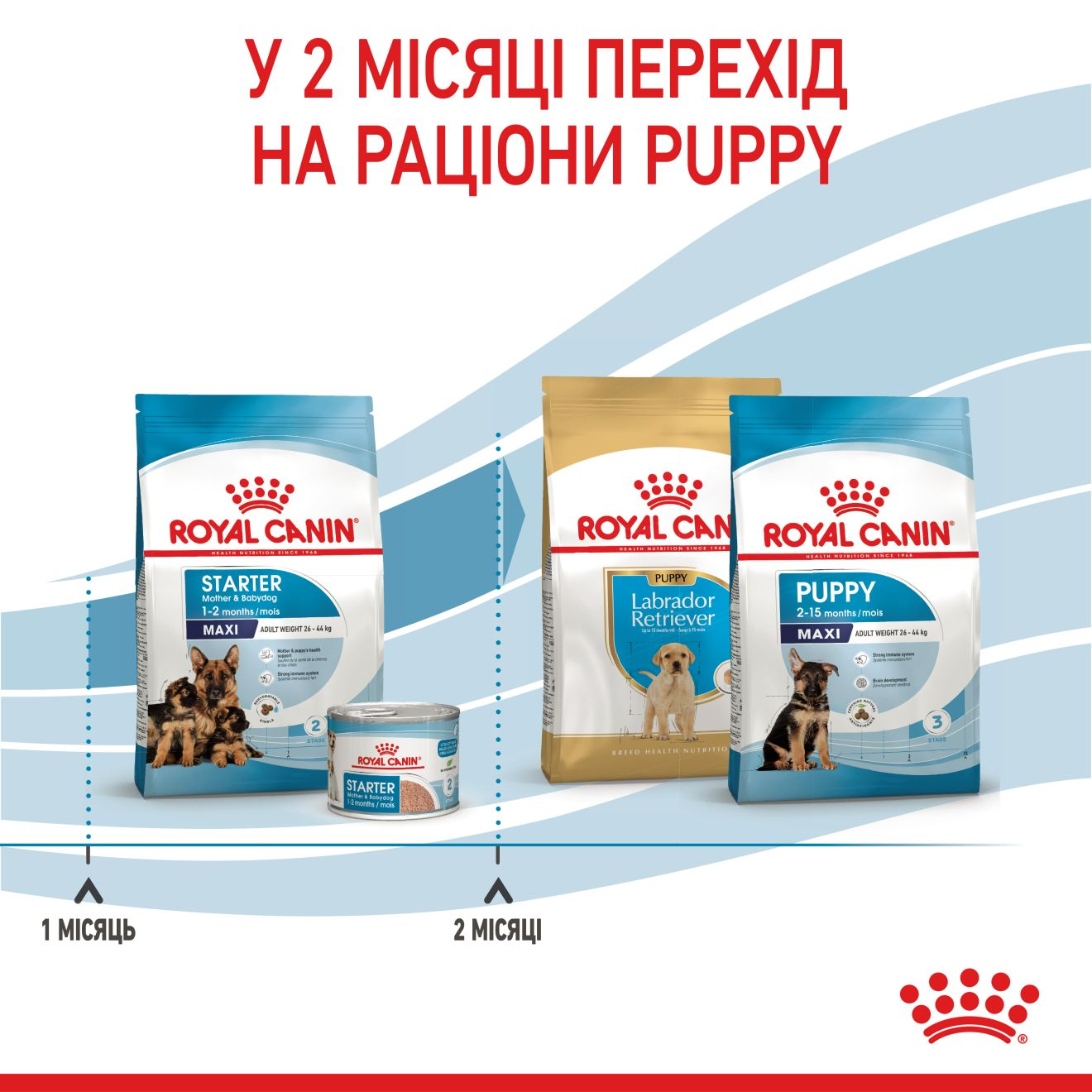 Starter Mother & Babydog - Maxi