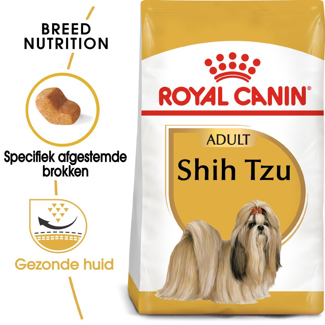 Shih Tzu Adult