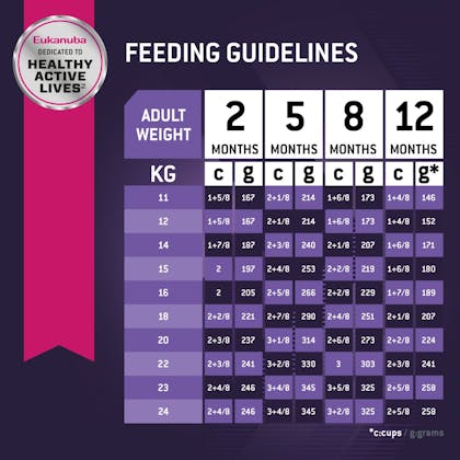 Eukanuba-CORE-Hero Image-Feeding Guidelines-Medium Breed Chicken-ANZ