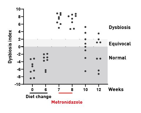 The effect of dietary transition and metronidazole on the intestinal microbiome in healthy dogs 