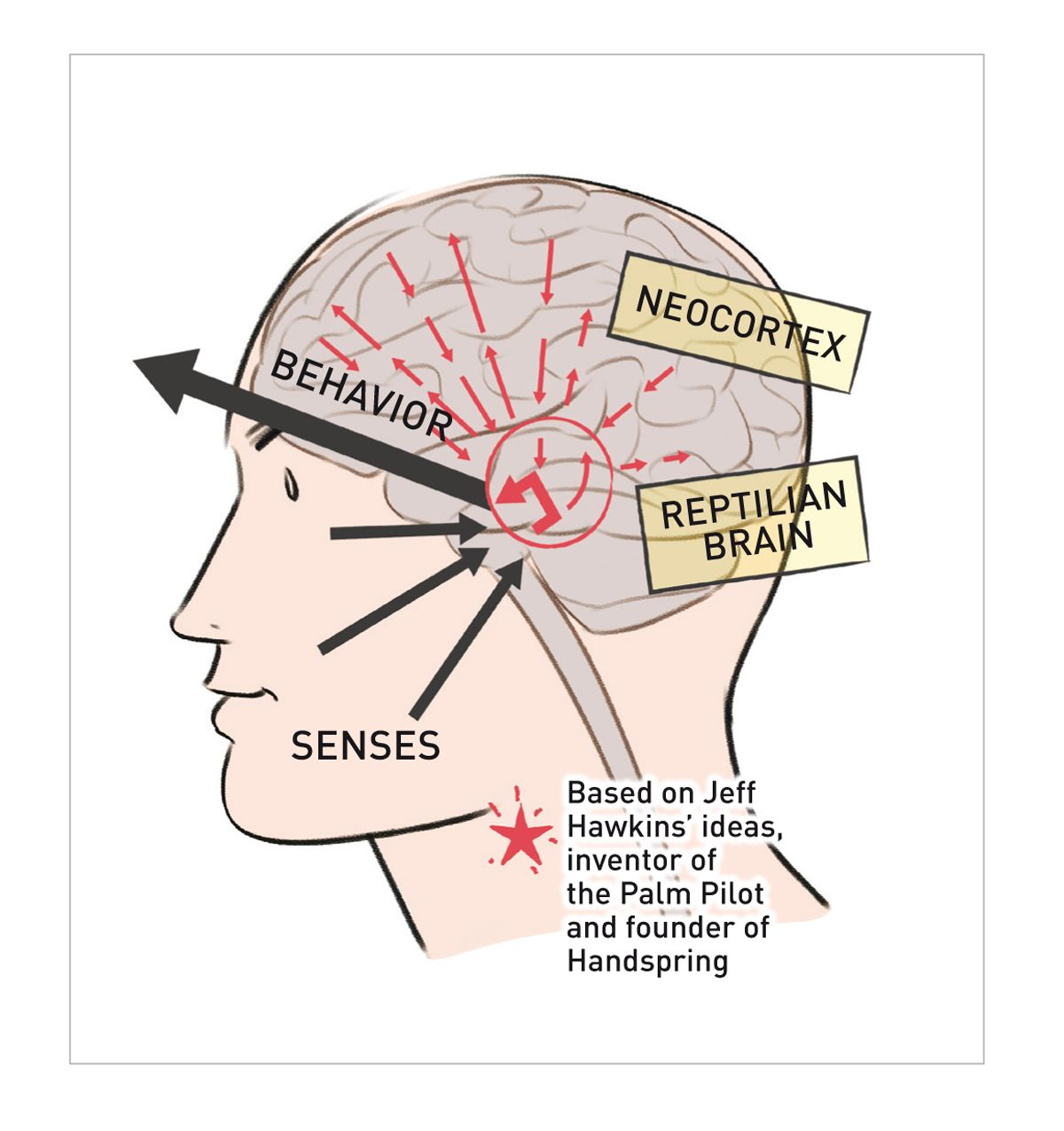 The reptilian brain directly translates sensations into behavior but we can train our neocortex to take control of the situation. 