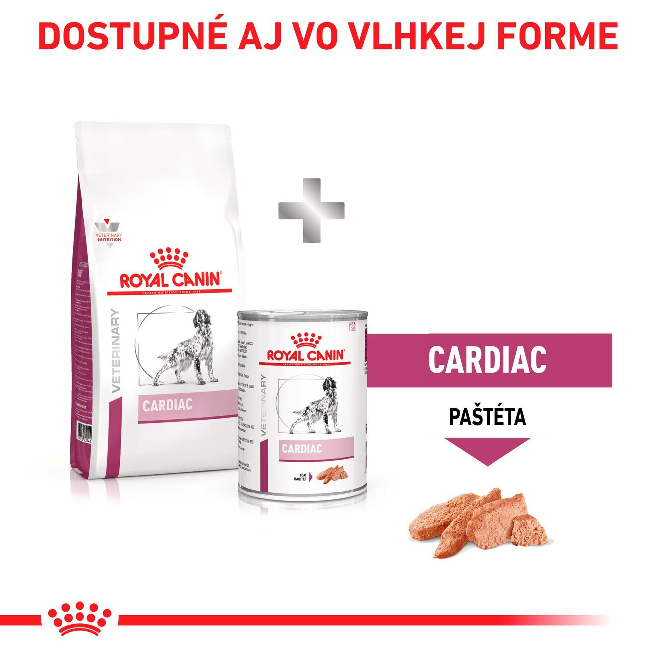 VHN Dog Cardiac