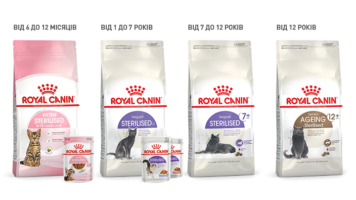 Cat sterilized range pack shot