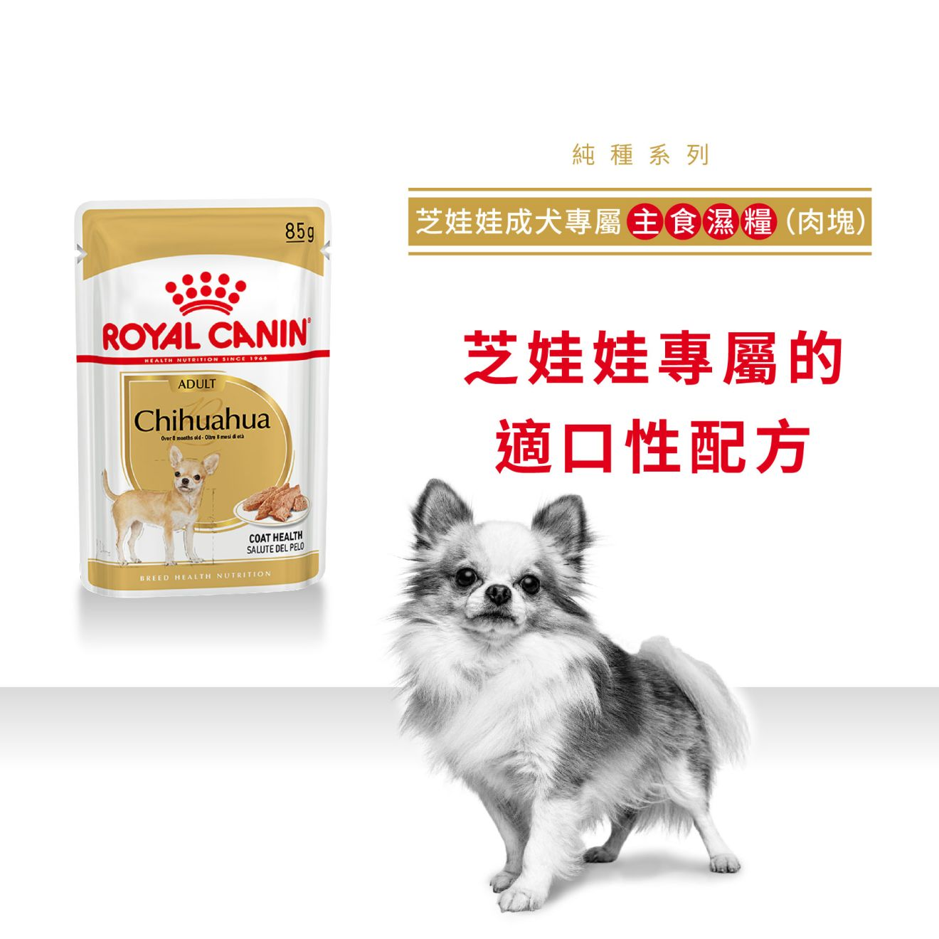 BHN 芝娃娃成犬專屬主食濕糧（肉塊）