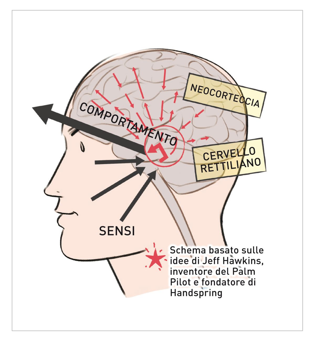 trapianto di cervello
