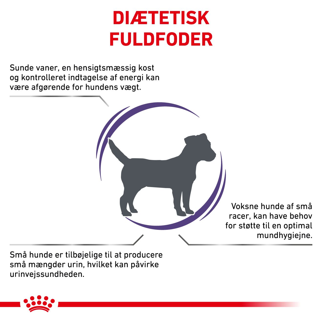 Health Adult Small dog