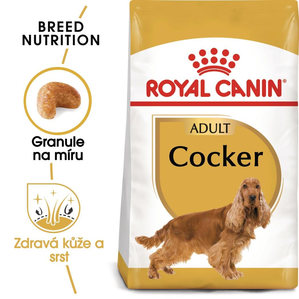 COCKER Adult