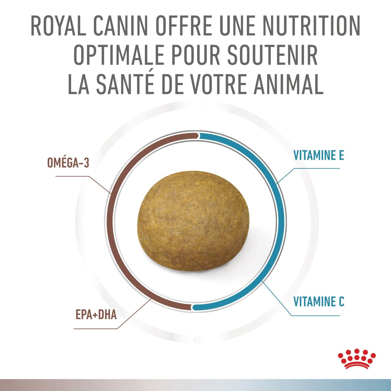 Gastrointestinal Low Fat + Hypoallergenic Chien