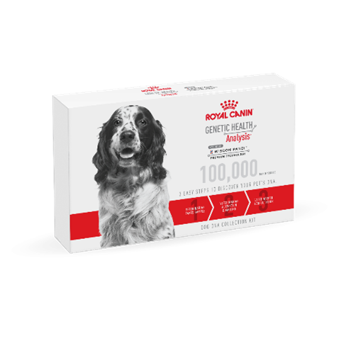 Genetic Health Analysis | Royal Canin US