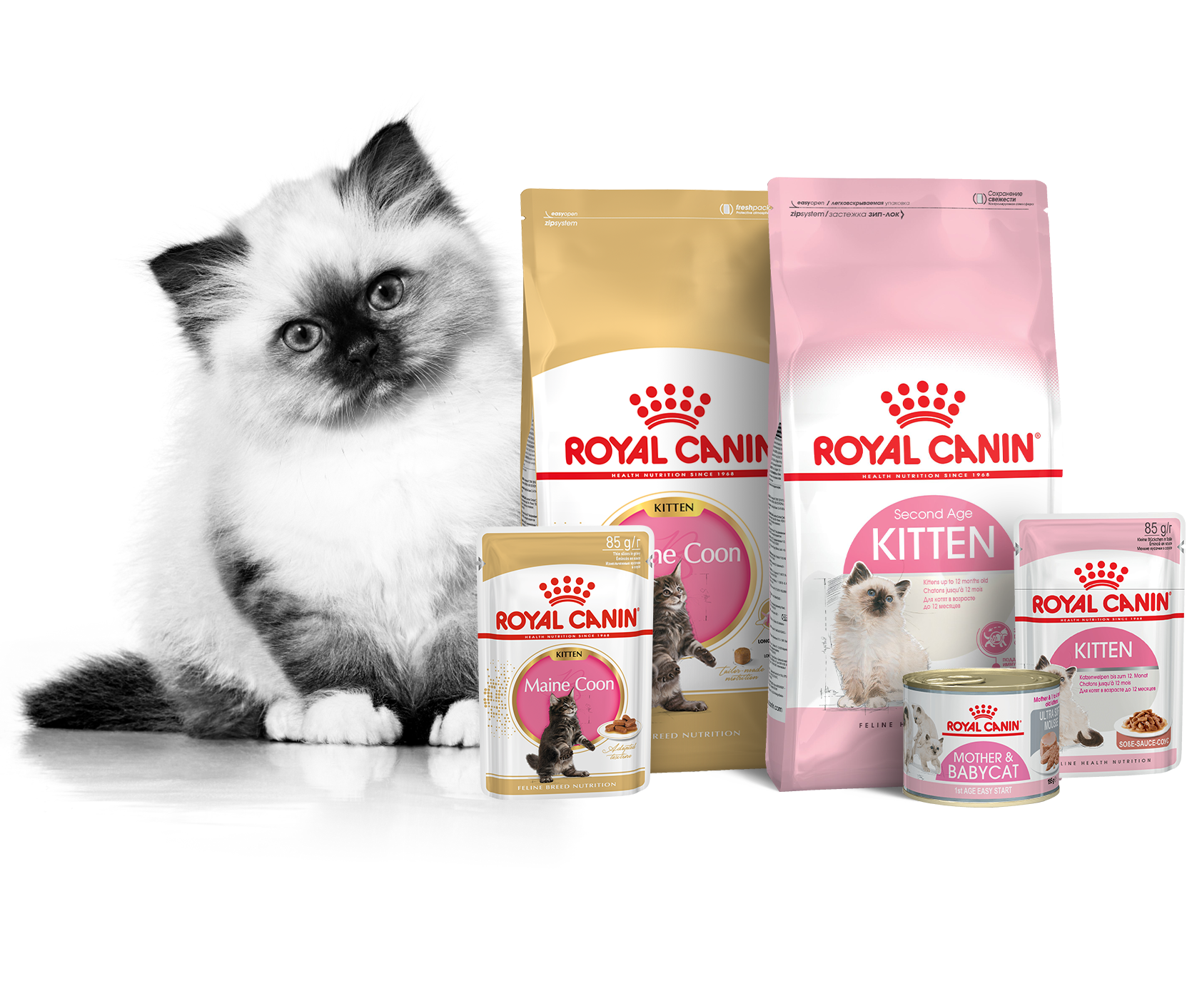 Подберите корм ROYAL CANIN® для породы вашего питомца | Royal Canin