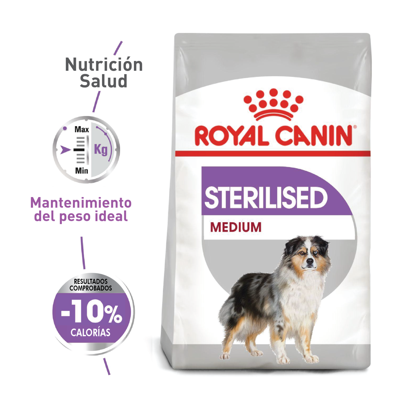 Perro Mediano Esterilizado