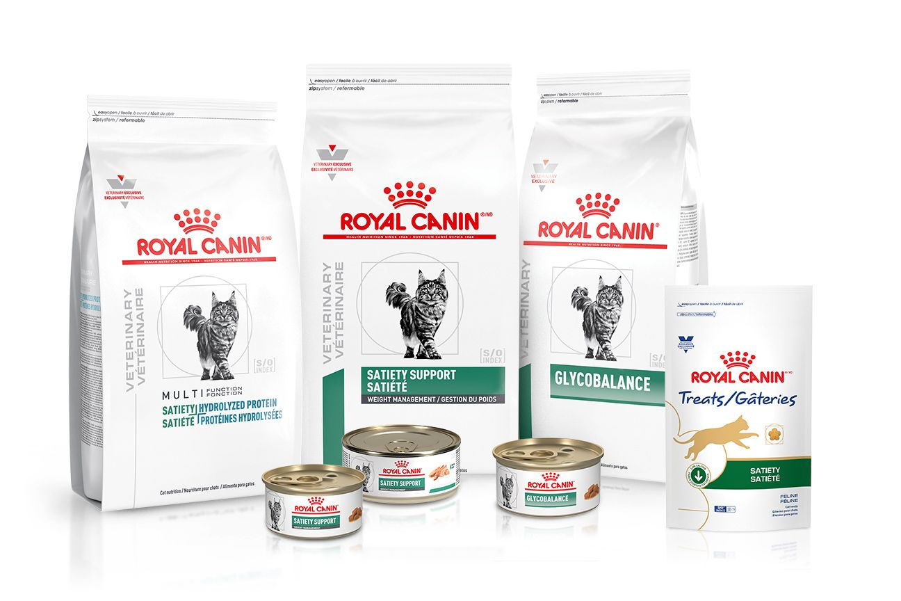 royal canin portal