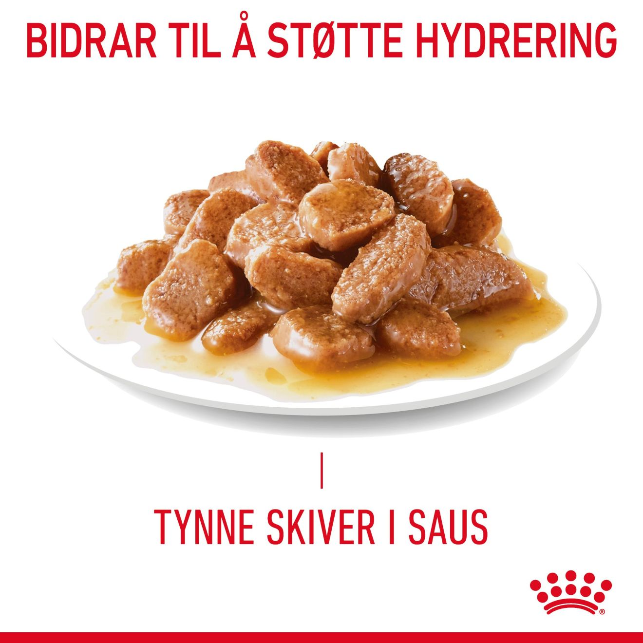 Urinary Care Gravy Adult 