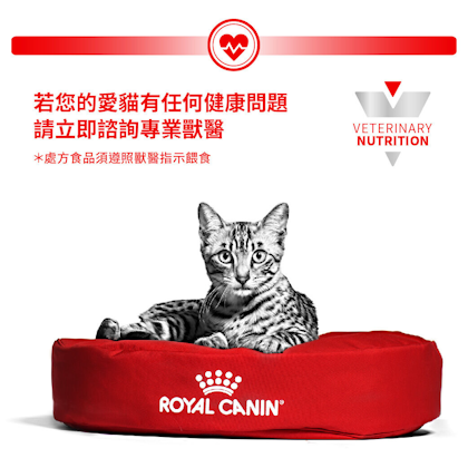 Royal Canin Feline Neutered Satiety Balance Dry Food - Vet Warehouse