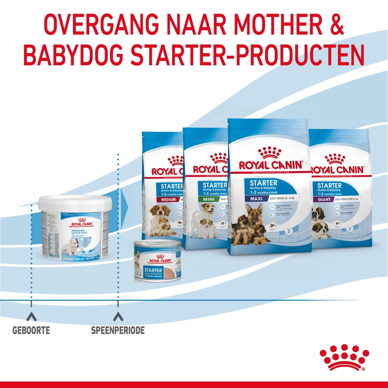 Babydog Milk