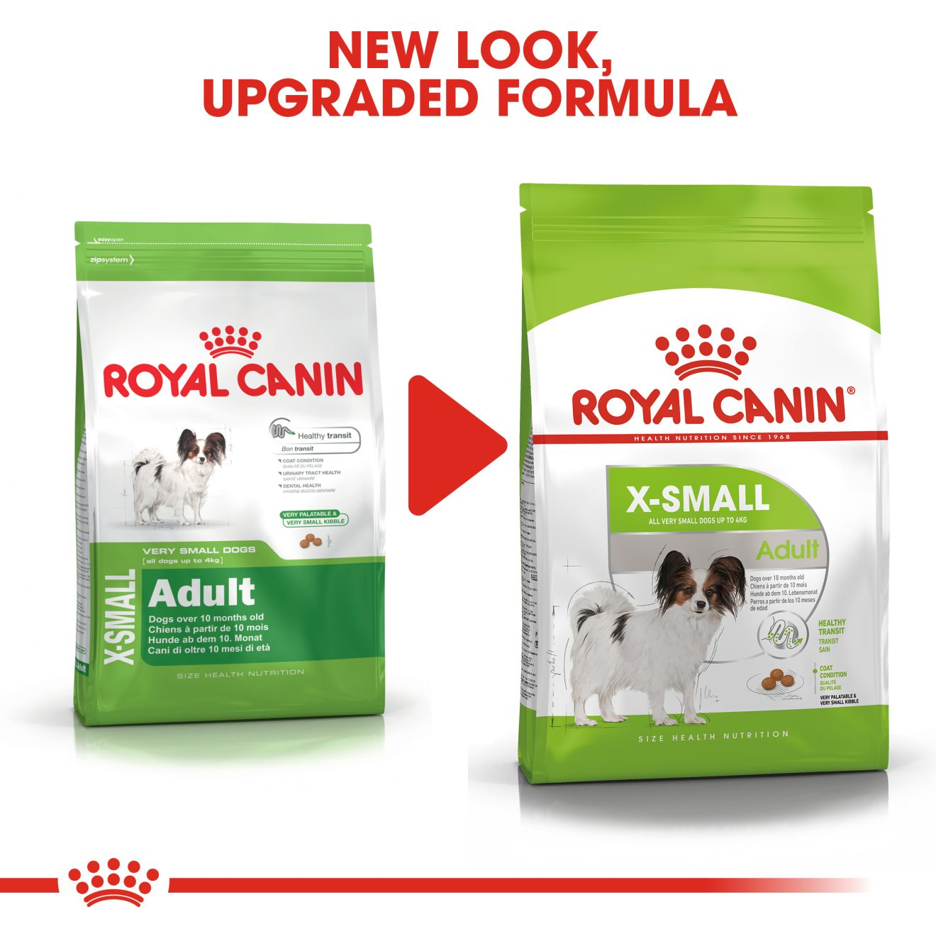 Royal Canin Size Health Nutrition X-Small Adult Dry Dog Food — PetPartners  Store