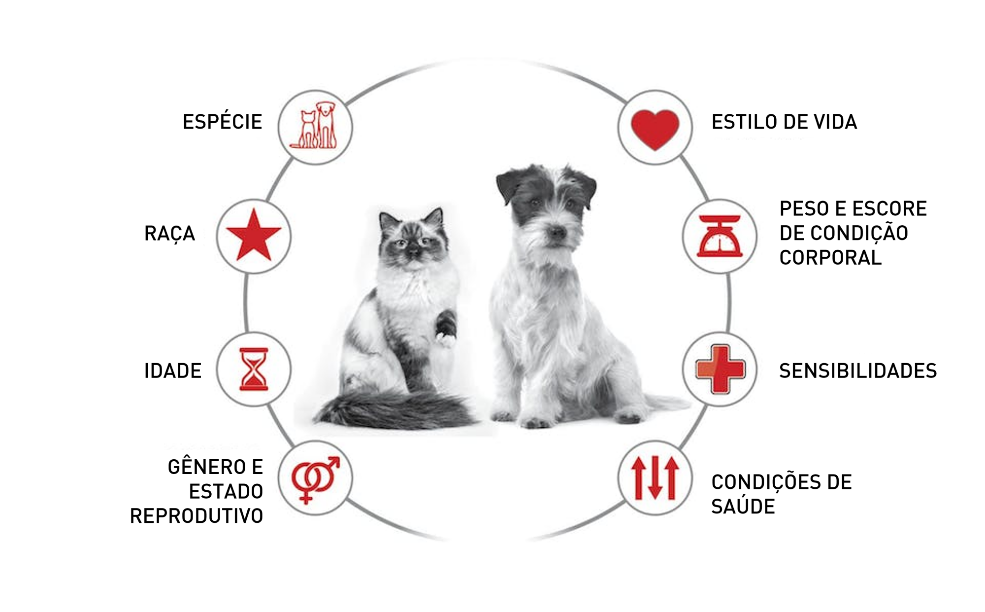 Muitos fatores diferentes se combinam para tornar cada animal de estimação único.