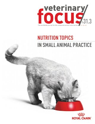 Subiecte privind nutriția, în clinicile pentru animale de companie