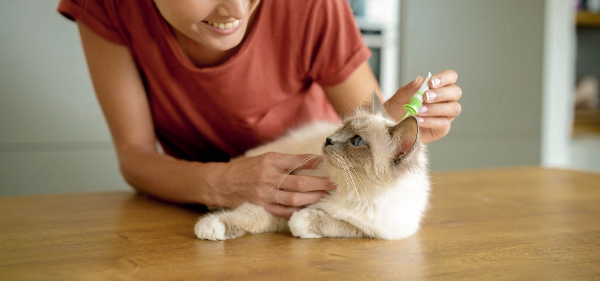 What is the best flea outlet treatment for dogs and cats