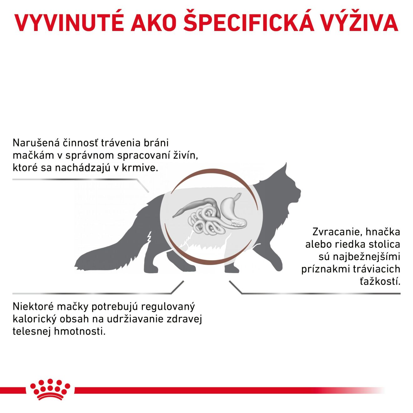 ROYAL CANIN CAT GASTROINTESTINAL MODERATE CALORIE granule pre mačky so sklonmi k nadváhe trpiacej ochorením tráviaceho traktu