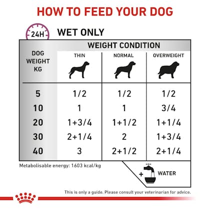 RC-VET-WET-DogRenalSpeLOAF410-Eretailkit-B1-CV-3