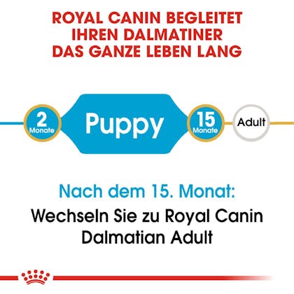 RC-BHN-Puppy-Dalmatian-Trockennahrung_2-Monate_DE