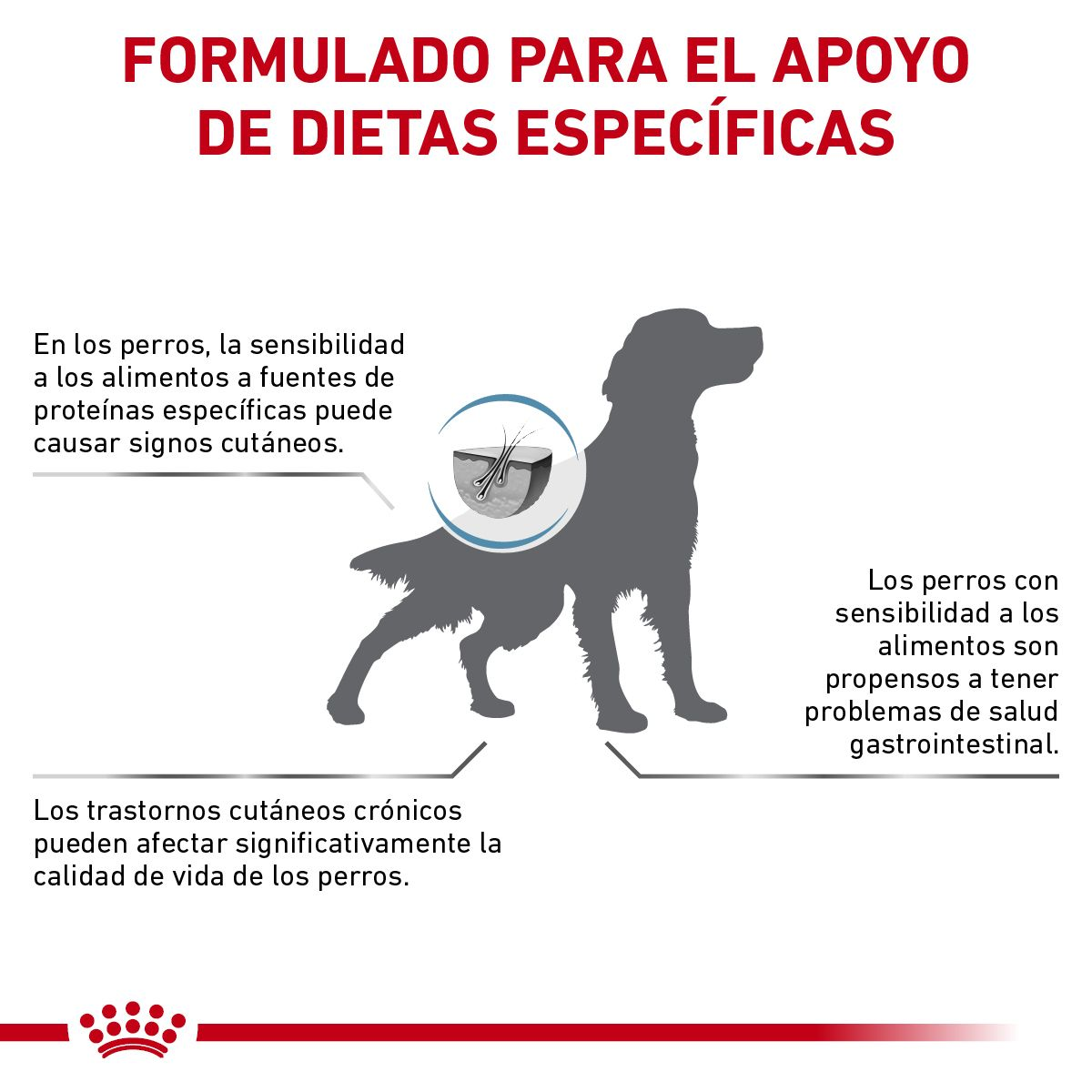 Hydrolyzed Protein Adult HP Canine