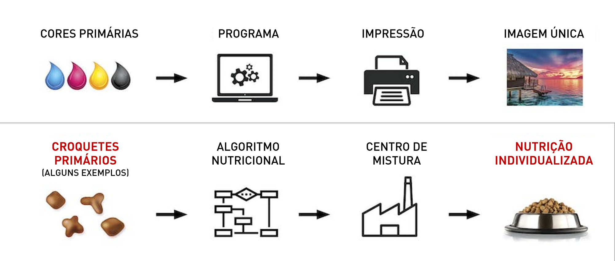 O conceito de produzir uma dieta específica para um indivíduo pode ser comparado ao modo como uma impressora usa cores básicas para construir uma imagem colorida.