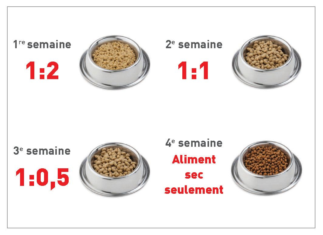 ratio conseillé entre l’eau et les croquettes (en volume, pas en poids) pour réhydrater un aliment sec