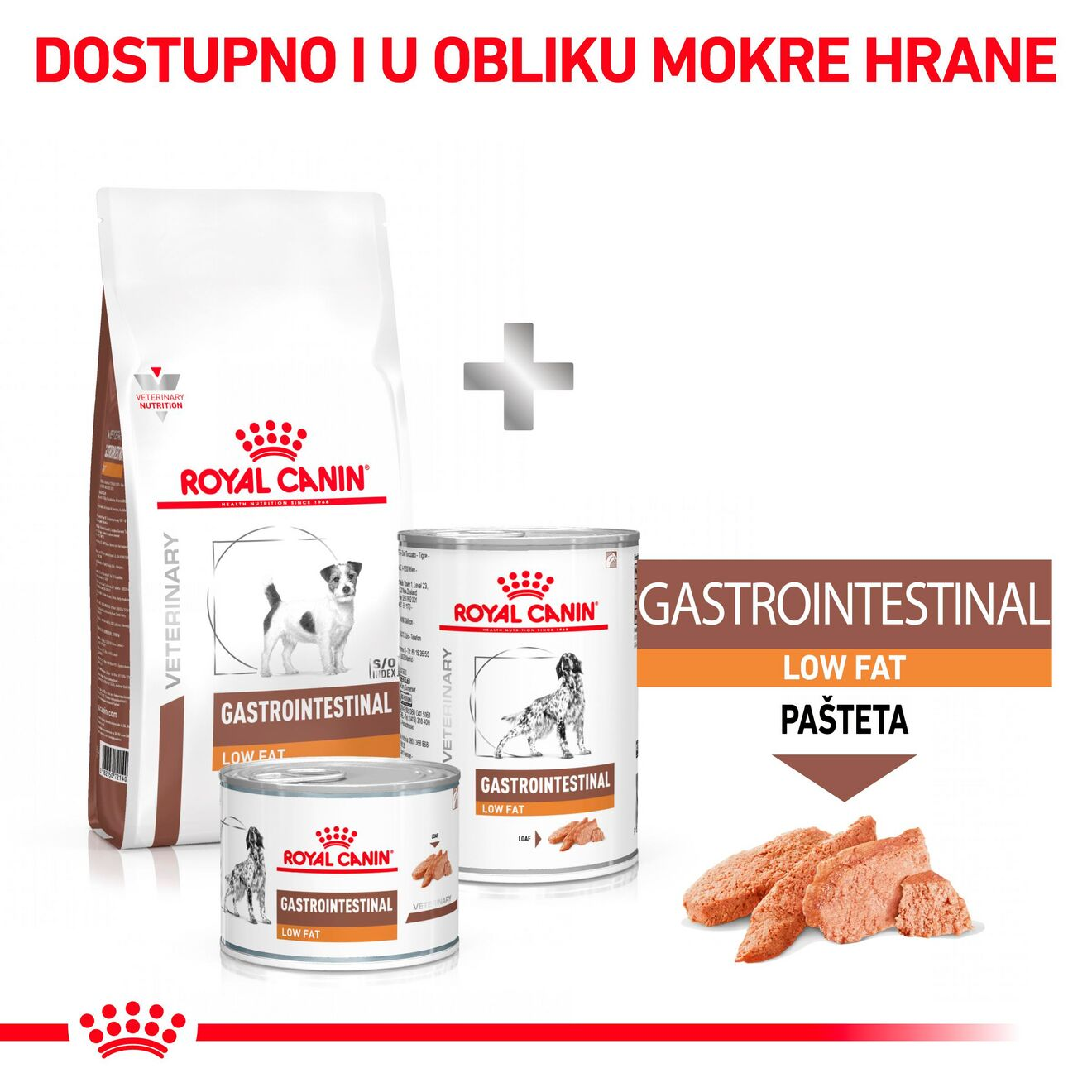GASTROINTESTINAL LOW FAT SMALL DOG