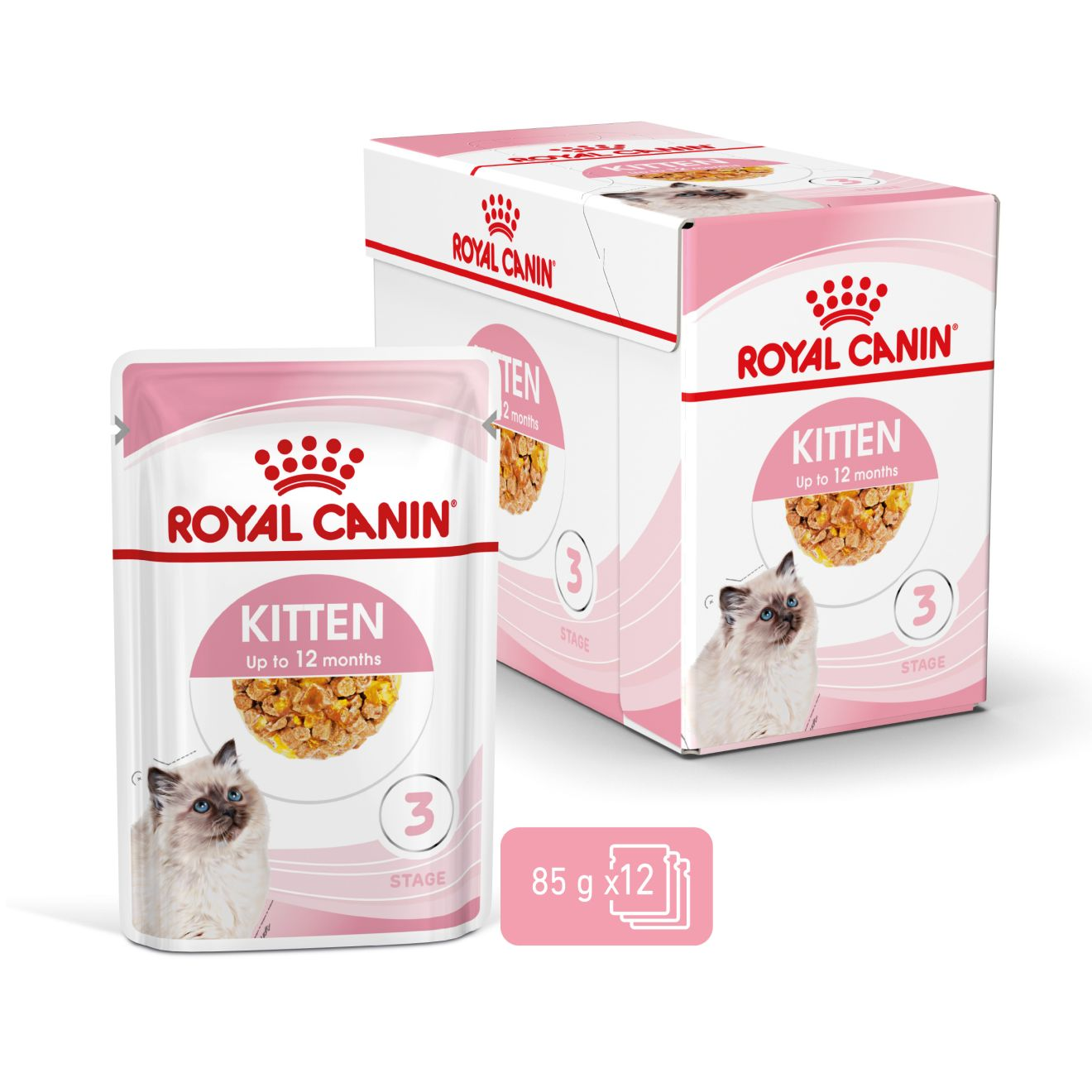 KITTEN  Chunks in jelly