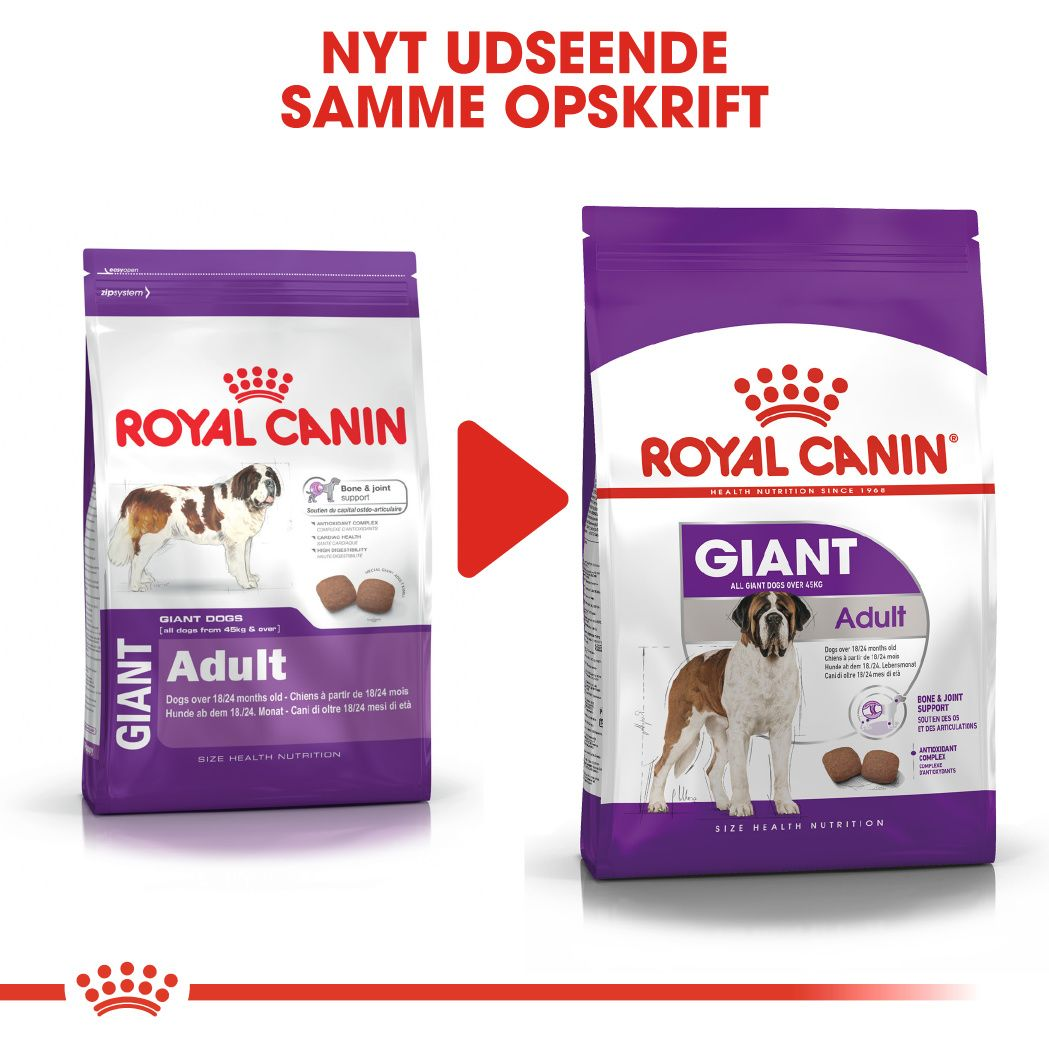 Paradis Zeal Stolpe Giant Adult | Royal Canin US