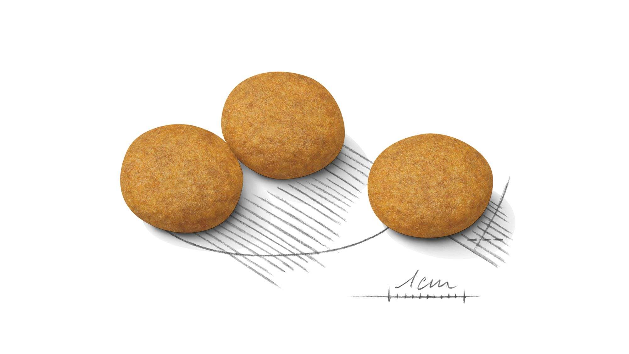 Ilustración de la croqueta Dermacomfort CNN ROYAL CANIN®