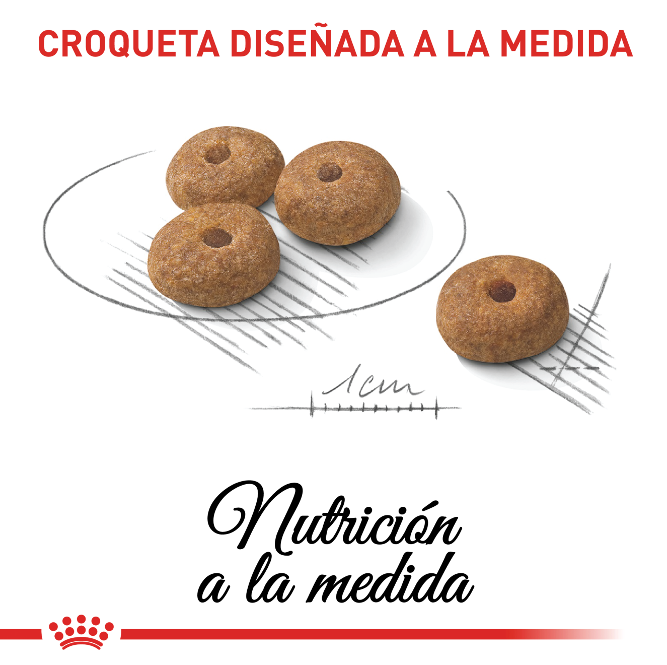 Perro Mediano Esterilizado