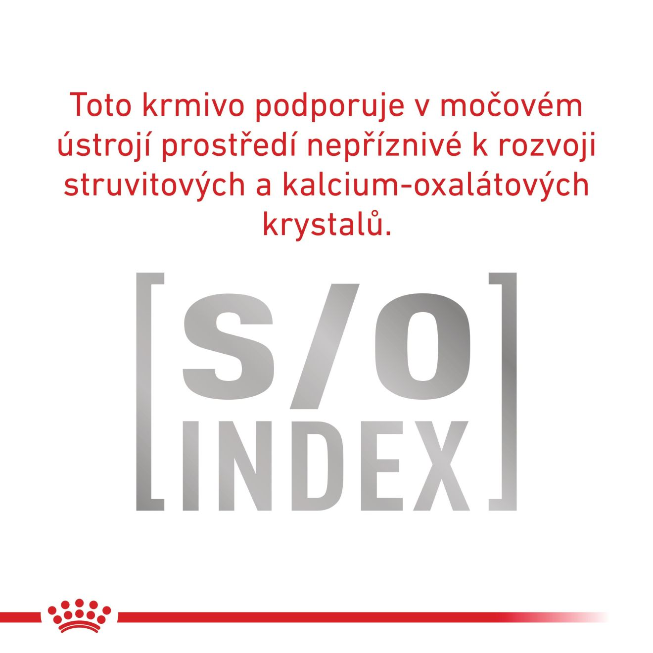 Urinary S/O - paštika 