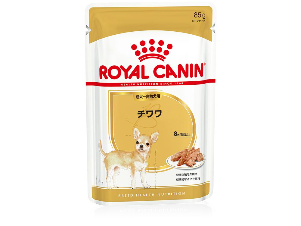 チワワ ウェット 成犬～高齢犬用 | Royal Canin JP