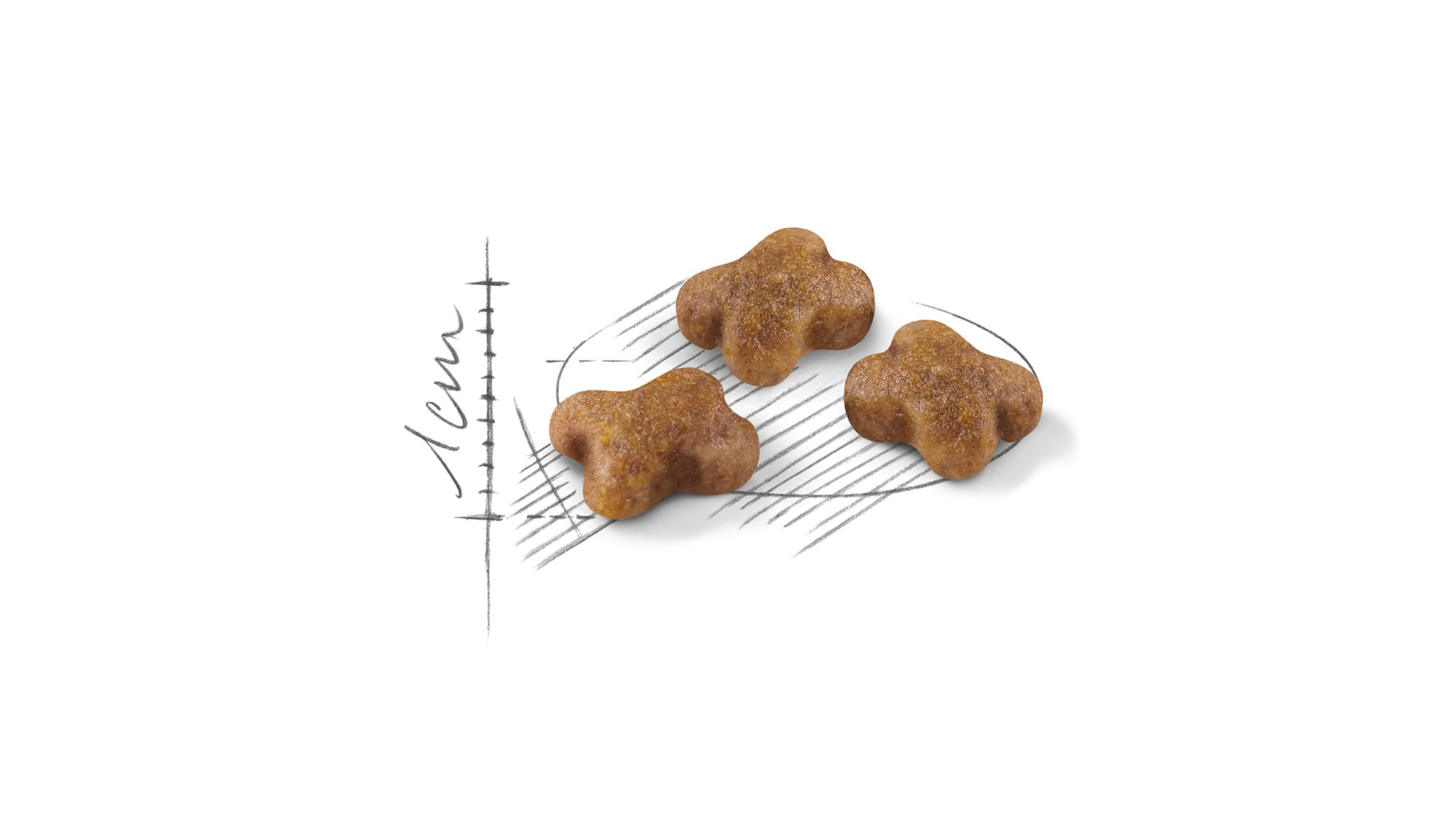 Illustration de croquettes pour chaton Royal Canin