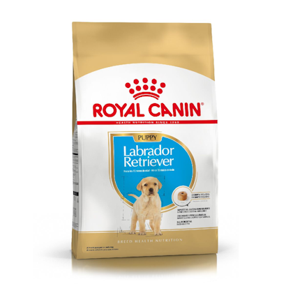 AR-L-Producto-Labrador-Retriever-Puppy-Breed-Healt-Nutrition-Seco